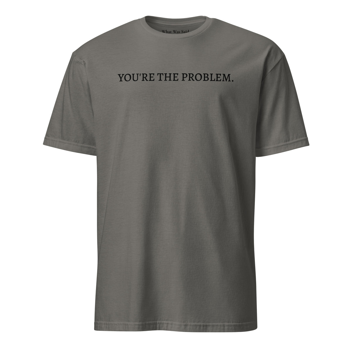Front facing graphic t-shirt in color charcoal grey featuring statement, 'YOU'RE THE PROBLEM', in bold black print. From What Was Said (Statement Apparel + More).