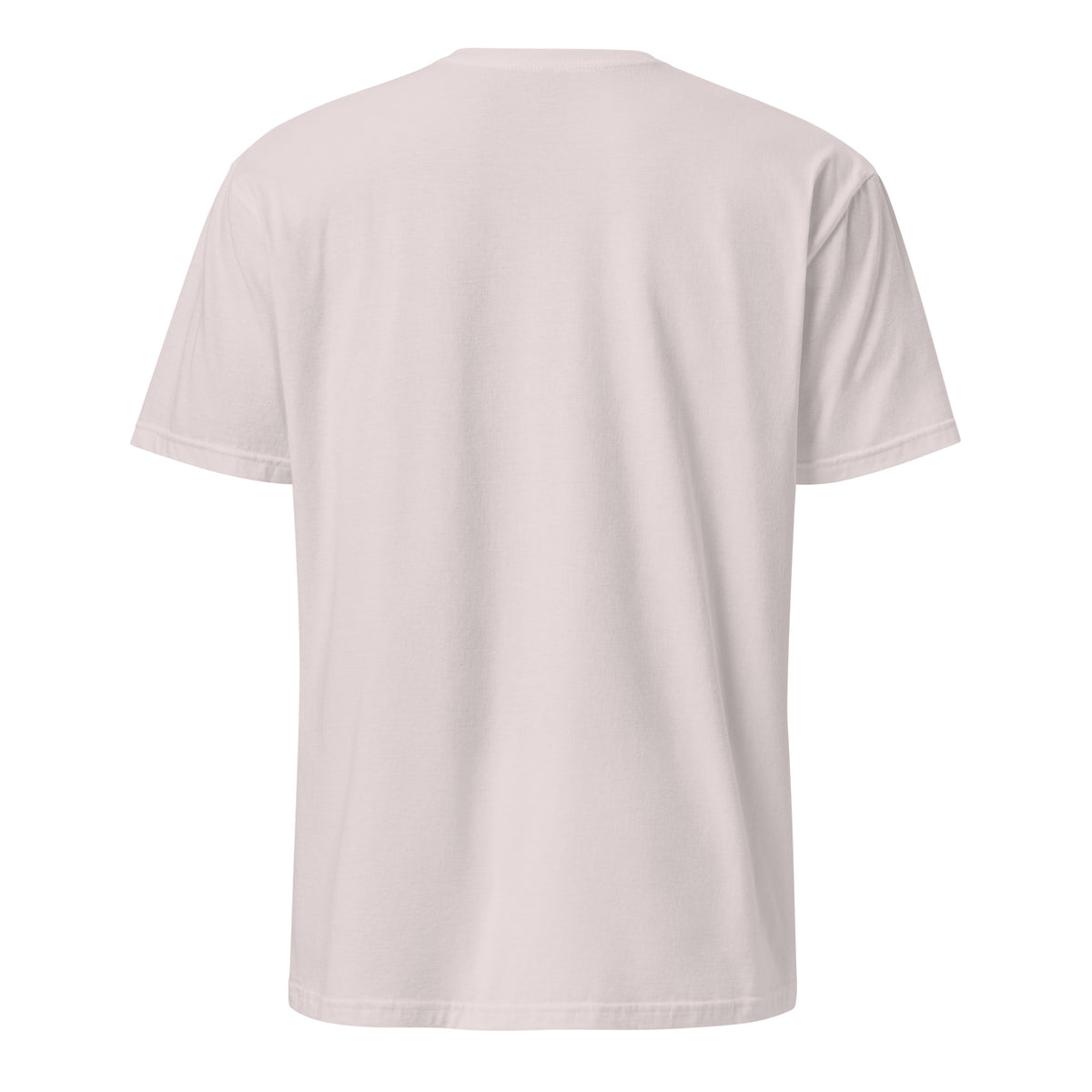 Back facing graphic t-shirt in color light ice grey from What Was Said (Statement Apparel + More).