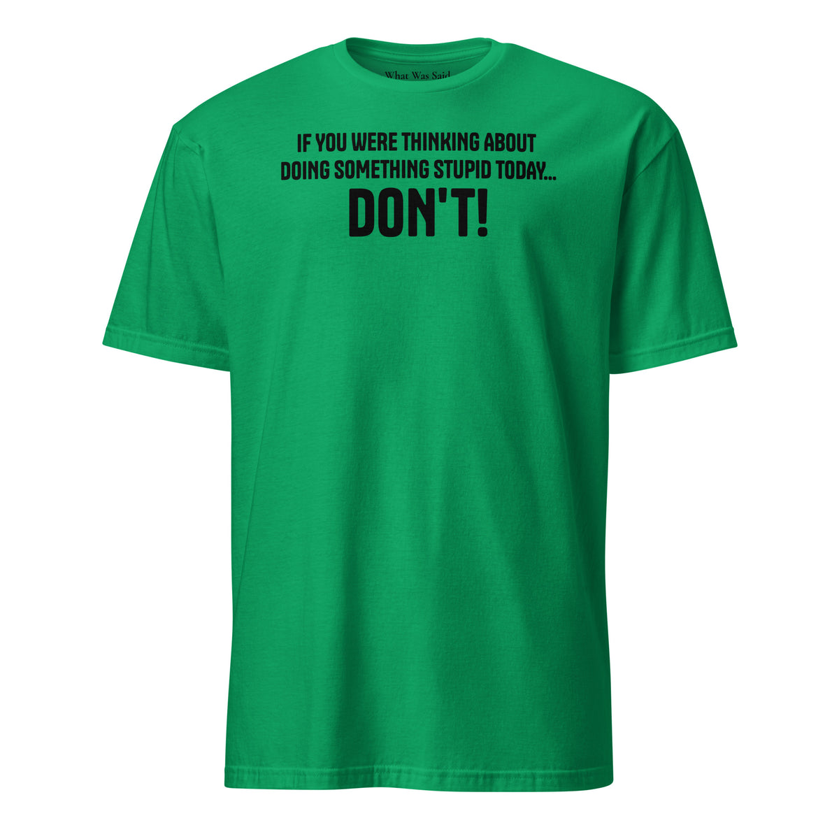 Front facing graphic t-shirt in color irish-green, featuring statement, 'IF YOU WERE THINKING ABOUT DOING SOMETHING STUPID TODAY... DON'T!' in bold black print. From What Was Said (Statement Apparel + More).