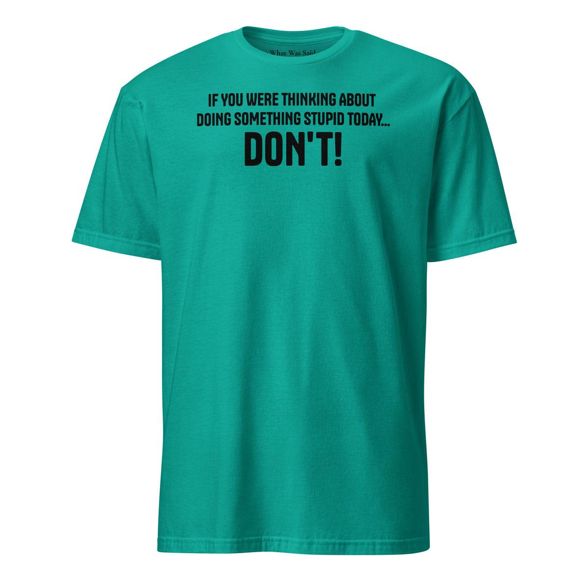 Front facing graphic t-shirt in color jade dome, featuring statement, 'IF YOU WERE THINKING ABOUT DOING SOMETHING STUPID TODAY... DON'T!' in bold black print. From What Was Said (Statement Apparel + More).