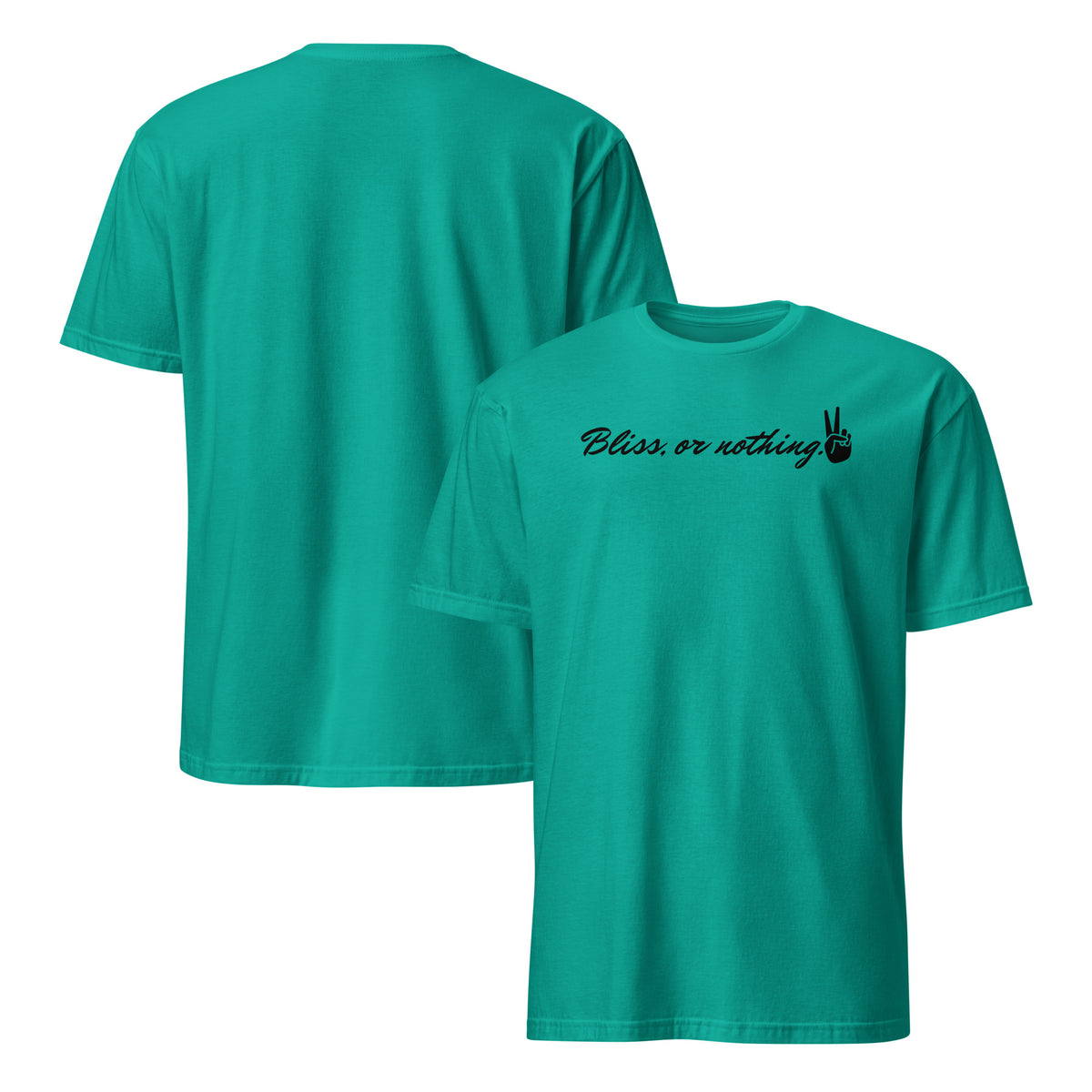 Front and backing facing graphic t-shirt in color jade dome green, featuring statement, 'Bliss, or nothing,' in bold black cursive print. With a hand showing the peace sign at the end of the statement. From What Was Said (Statement Apparel + More).