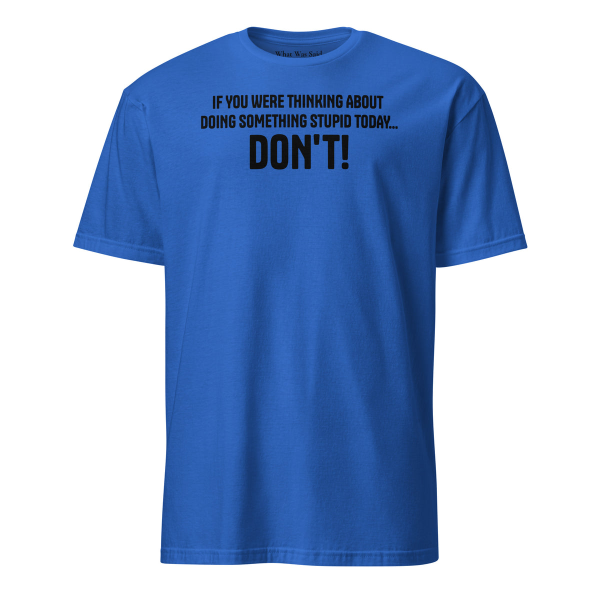 Front facing graphic t-shirt in color royal blue, featuring statement, 'IF YOU WERE THINKING ABOUT DOING SOMETHING STUPID TODAY... DON'T!' in bold black print. From What Was Said (Statement Apparel + More).